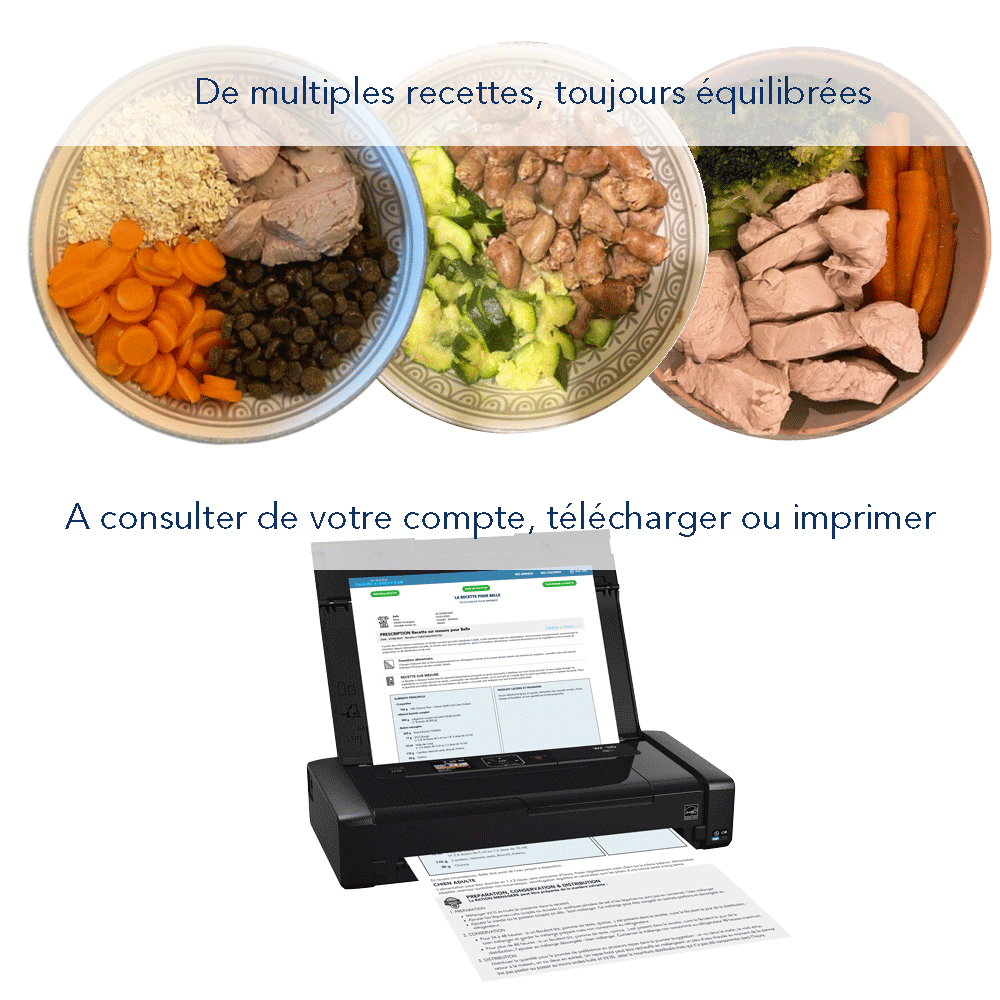 Abonnement: des recettes sur mesure à télécharger ou imprimer